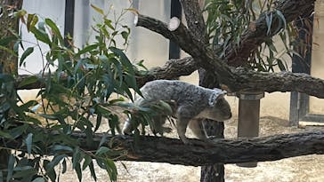 名古屋市東山動植物園に投稿された画像（2024/12/21）