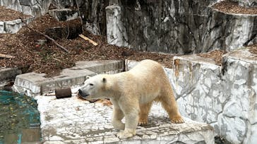名古屋市東山動植物園に投稿された画像（2024/12/21）