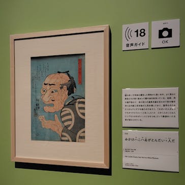 歌川国芳展 －奇才絵師の魔力に投稿された画像（2024/12/21）