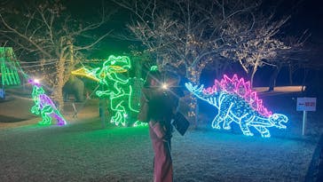 鹿児島イルミナージュに投稿された画像（2024/12/21）