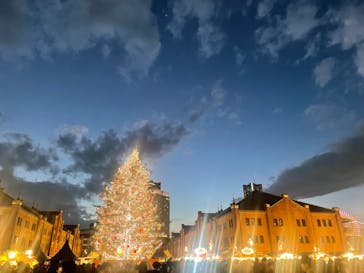 Christmas Market in 横浜赤レンガ倉庫 2025に投稿された画像（2024/12/21）