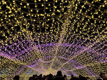 東京メガイルミに投稿された画像（2024/12/21）