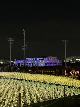 東京メガイルミに投稿された画像（2024/12/21）