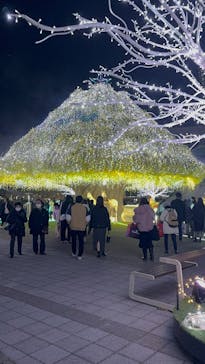 東京メガイルミに投稿された画像（2024/12/21）