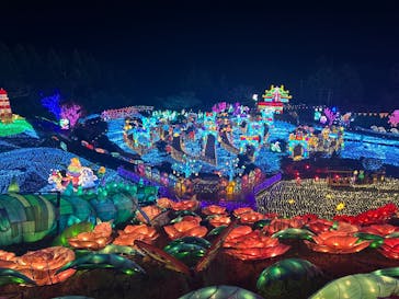 伊豆高原グランイルミに投稿された画像（2024/12/21）