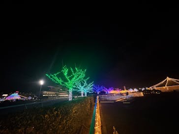 東京メガイルミに投稿された画像（2024/12/21）