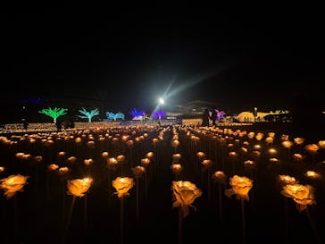 東京メガイルミに投稿された画像（2024/12/21）