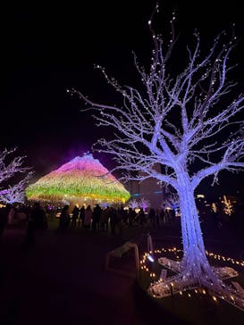 東京メガイルミに投稿された画像（2024/12/21）