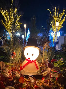 安城産業文化公園デンパークに投稿された画像（2024/12/21）