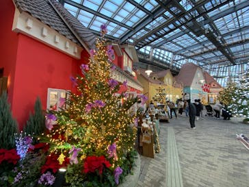 安城産業文化公園デンパークに投稿された画像（2024/12/21）