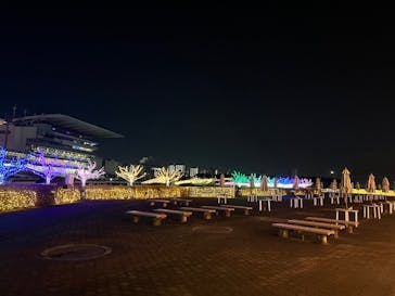 東京メガイルミに投稿された画像（2024/12/21）