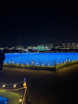 東京メガイルミに投稿された画像（2024/12/21）