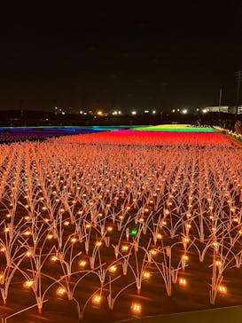 東京メガイルミに投稿された画像（2024/12/21）