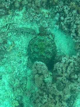 川平マリンサービスに投稿された画像（2024/12/21）