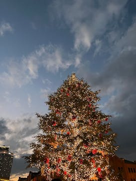 Christmas Market in 横浜赤レンガ倉庫 2025に投稿された画像（2024/12/21）