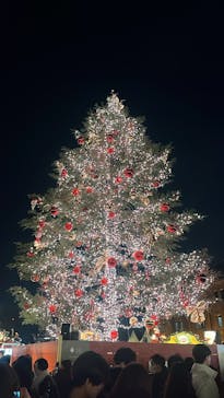 Christmas Market in 横浜赤レンガ倉庫 2025に投稿された画像（2024/12/21）