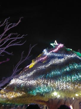 東京メガイルミに投稿された画像（2024/12/21）