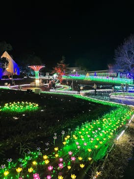 つま恋イルミネーションに投稿された画像（2024/12/21）