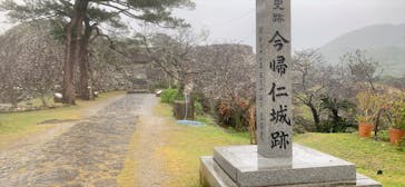 今帰仁城跡に投稿された画像（2024/12/21）