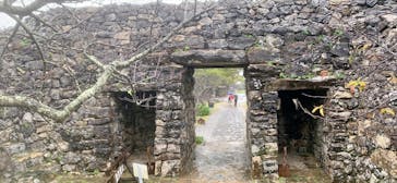 今帰仁城跡に投稿された画像（2024/12/21）