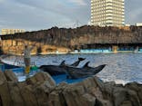 名古屋港水族館に投稿された画像（2024/12/22）