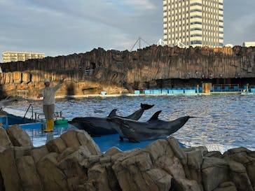 名古屋港水族館に投稿された画像（2024/12/21）