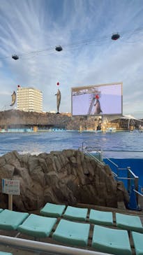 名古屋港水族館に投稿された画像（2024/12/21）