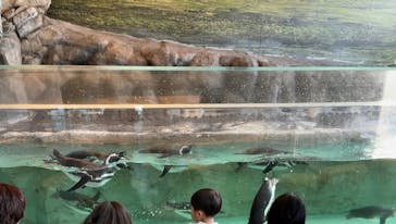 しながわ水族館に投稿された画像（2024/12/21）