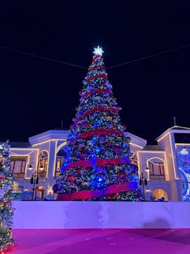 ラグーナテンボス ラグナシアに投稿された画像（2024/12/21）