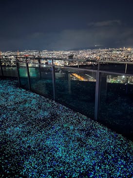 梅田スカイビル・空中庭園展望台に投稿された画像（2024/12/21）