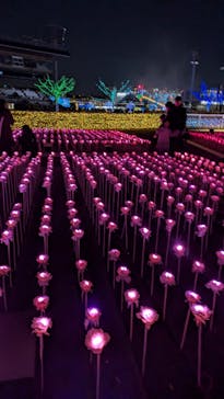 東京メガイルミに投稿された画像（2024/12/21）