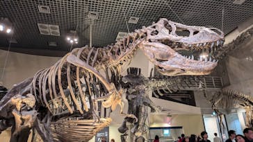 国立科学博物館に投稿された画像（2024/12/21）