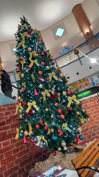 浜名湖パルパルに投稿された画像（2024/12/22）