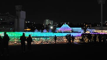 東京メガイルミに投稿された画像（2024/12/22）