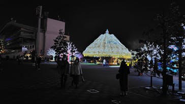 東京メガイルミに投稿された画像（2024/12/22）