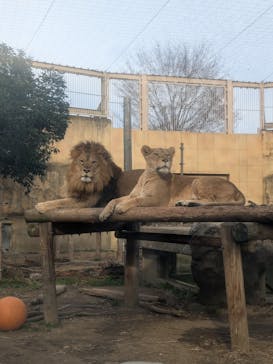 東武動物公園に投稿された画像（2024/12/22）