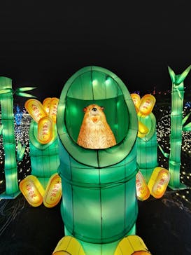 伊豆高原グランイルミに投稿された画像（2024/12/22）