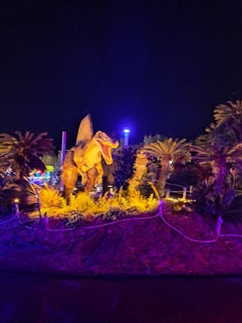 伊豆高原グランイルミに投稿された画像（2024/12/22）