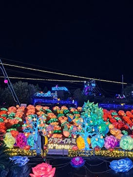 伊豆高原グランイルミに投稿された画像（2024/12/22）
