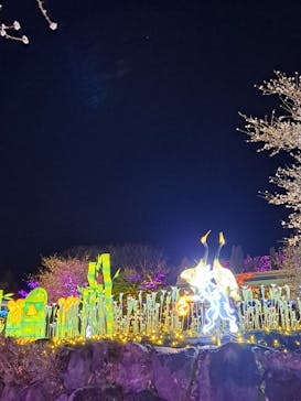 伊豆高原グランイルミに投稿された画像（2024/12/22）