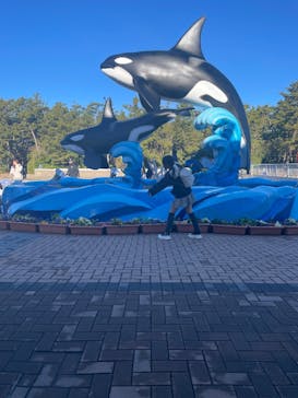 鴨川シーワールドに投稿された画像（2024/12/22）