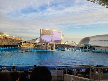 名古屋港水族館に投稿された画像（2024/12/22）