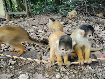 石垣やいま村に投稿された画像（2024/12/22）
