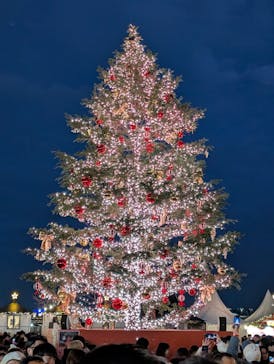 Christmas Market in 横浜赤レンガ倉庫 2025に投稿された画像（2024/12/22）