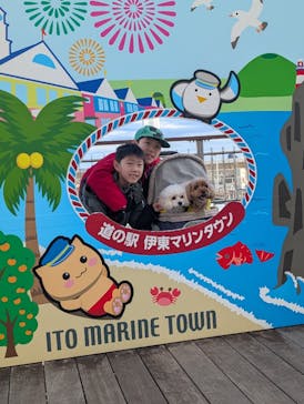 伊豆ぐらんぱる公園に投稿された画像（2024/12/22）