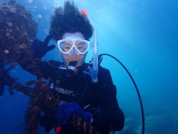 伊豆高原ダイビングスクール 渋谷店に投稿された画像（2024/12/22）