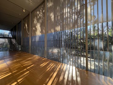 東京国立博物館に投稿された画像（2024/12/22）