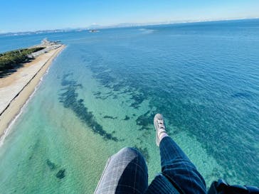 スカイエンジェルに投稿された画像（2024/12/22）