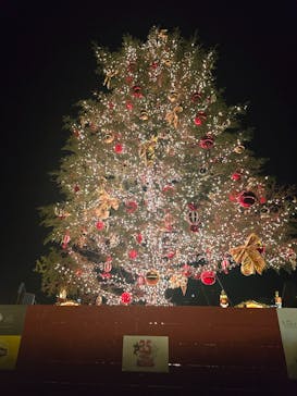 Christmas Market in 横浜赤レンガ倉庫 2025に投稿された画像（2024/12/22）