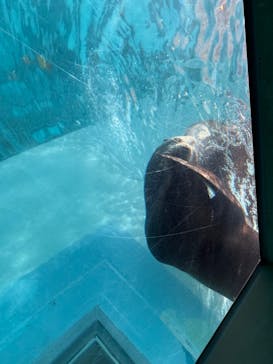 マリンワールド海の中道に投稿された画像（2024/12/22）